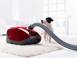 Пылесос Miele SGEF5 Complete C3 PowerLine Cat&Dog tayperry red фото 2