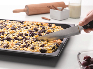 Универсальный противень Miele HUBB 51 фото 5