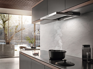 Вытяжка Miele DAS 2620 EDST/CLST фото 5