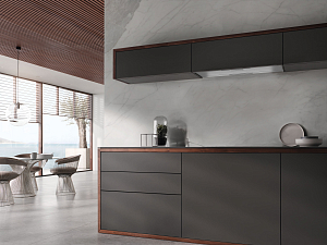 Вытяжка Miele DAS 8930 фото 4