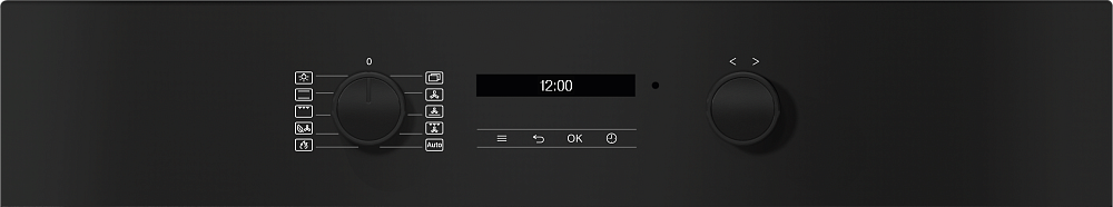 Духовой шкаф Miele H 2861 BP BRWS фото 2